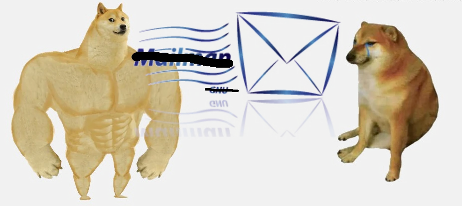 Article image.
